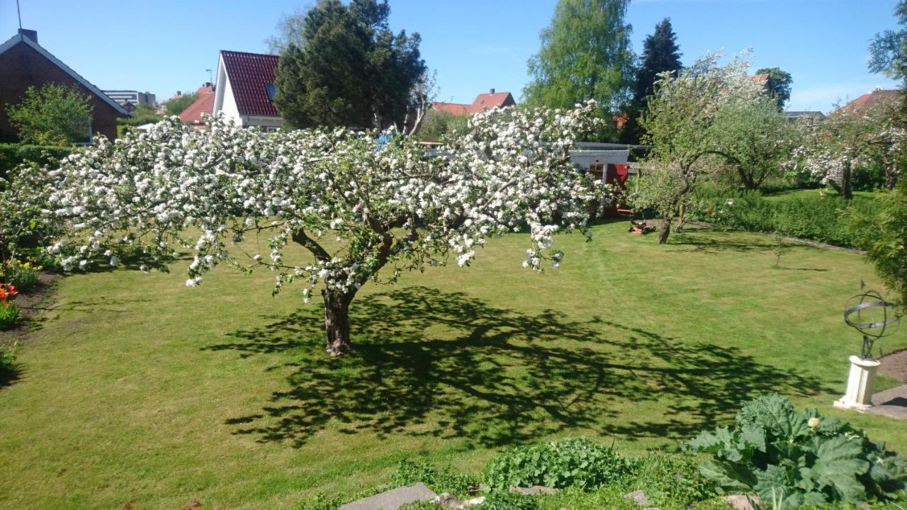 Nocleg ze śniadaniem Bymarkens Roskilde