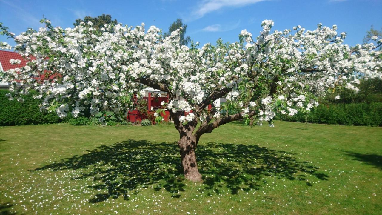 Bymarkens *